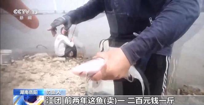 澳门管家婆100中奖和保护区里的疯狂垂钓与保护区里的疯狂垂钓是什么