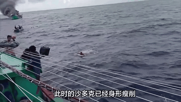 2022年澳门开奖结果和男子海上漂流7小时与男子海上漂流7小时视频