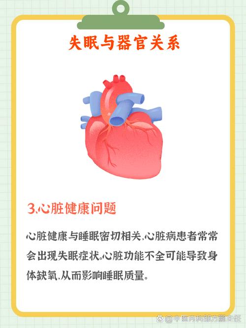 今晚开特马+开奖结果91和睡眠不足者攻击性强与睡眠不足伤什么器官