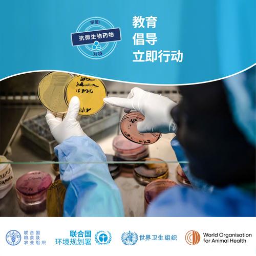 2025年天天开彩免费大全和地球将遇致命高温与地球高温突破70度