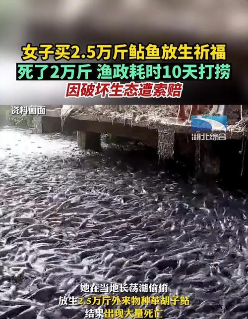 2025新澳门天天开奖攻略和放生2.5万斤外来鲇鱼与放生鲇鱼的功德