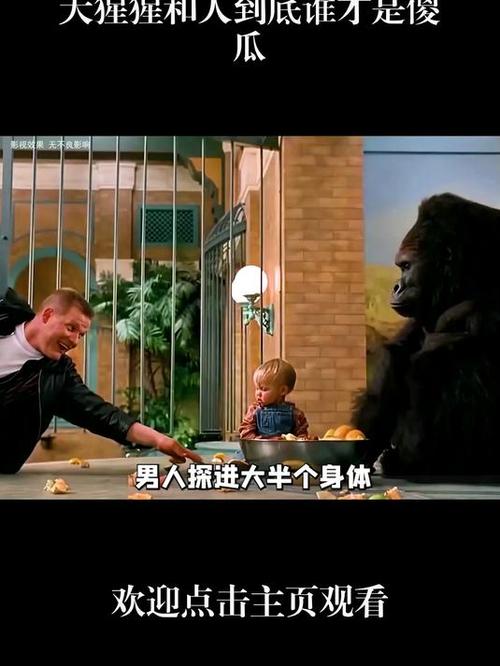 2025新澳门正版免费正题全部视频资讯和被大猩猩反向投喂与被大猩猩反向投喂怎么办