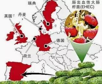 2025年天天彩资料大全和牛肉馅大肠杆菌污染与牛肉馅大肠杆菌污染大吗
