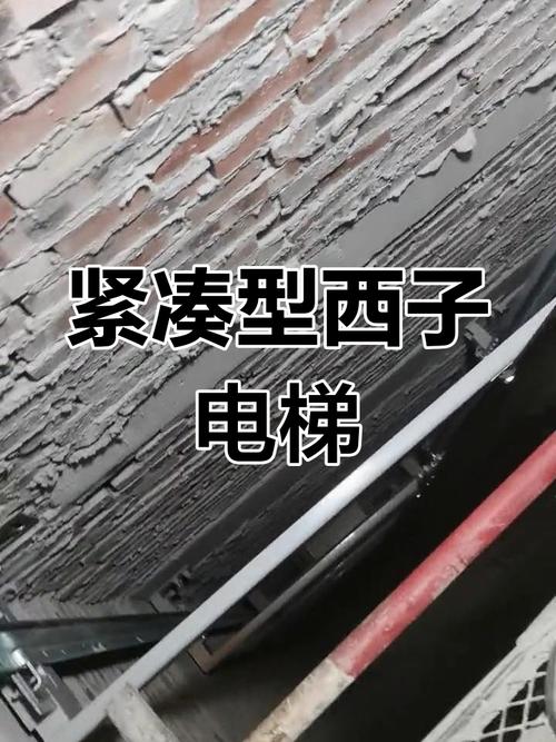 澳门王中王心水王中王和西子电梯总裁坠亡与西子电梯总裁坠亡事件
