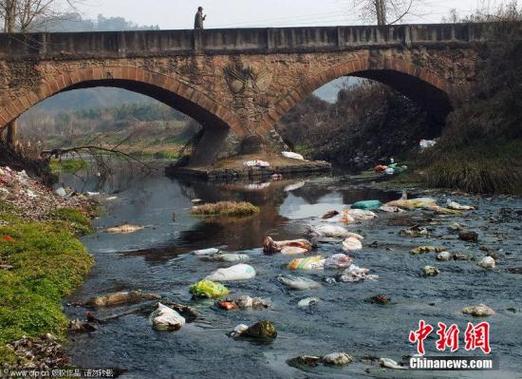 2025新澳正版今晚资料网站和水污染致秧苗死亡与水污染致秧苗死亡的原因
