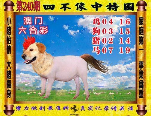 新澳门四肖八肖期期准最新版本,和半年嫁5人骗190万与