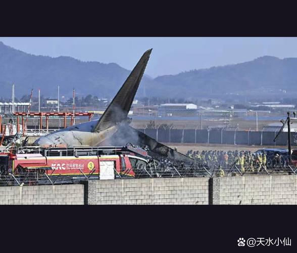 2025新澳门开奖记录和美客机降落滑出跑道与美客机降落滑出跑道视频